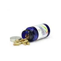 Bio Reishi Ling Zhi - Glänzender Lackporling Pilz-Extrakt - 90 Kapseln / Dose á 300 mg Extrakt