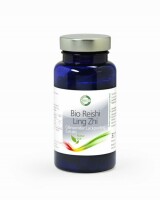 Reishi / LingZhi – Glänzender