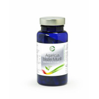 Bio Agaricus blazei Murrill - Mandelpilz Extrakt - 90 Kapseln / Dose á 350 mg Extrakt