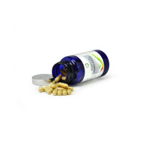 Bio Agaricus blazei Murrill - Mandelpilz Extrakt - 90 Kapseln / Dose á 350 mg Extrakt