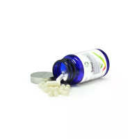 SanaLysin — essentielle Aminosäure 60 Kapseln á 450 mg
