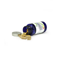 Coprinus Comatus (Schopftintling gallery 5_2nd