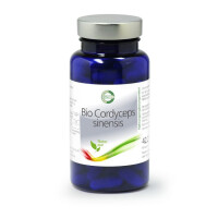 Cordyceps sinensis – Raupenpilz Extrakt 90 Kapseln &aa