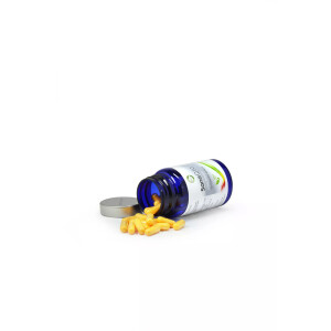 SanaQ10 Kapseln — Coenzym Q10