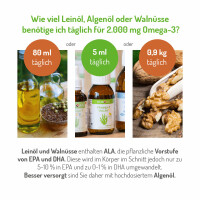 NORSAN Omega-3 Vegan 100ml