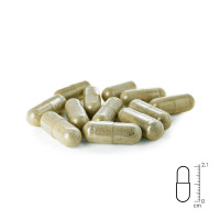 Second Wormwood Mix Kapseln 50Stk