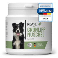 Grünlippmuschel Kapseln 100Stk 1