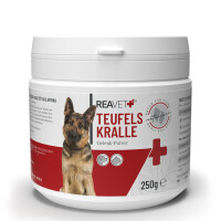 Teufelskralle | versch. Größen 1