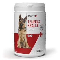 Teufelskralle | versch. Größen 1