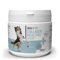 Collagen Reactive 250g – Kollagenpulver