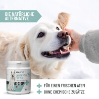 Denta Vital Pulver | versch. Größen 6