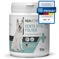 Denta Vital Pulver | versch. Größen