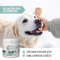 Denta Vital Pulver | versch. Größen 6