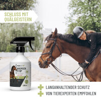 Bremsen Stop Spray 500ml