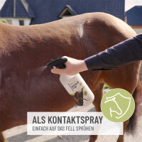 Bremsen Stop Spray 1L