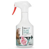 Glanzspray Mandel 500 ml – Für