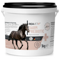 Darm Prebiotic 1kg