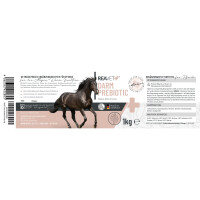 Darm Prebiotic 1kg