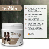 BallastoVET 250g