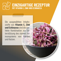 ReaVET Immun-Aufbau Tropfen 100m gallery 8_2nd