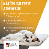 ReaVET Immun-Aufbau Tropfen 100ml – Natürliche Un