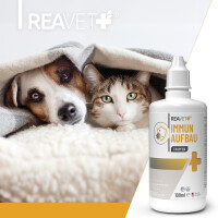 ReaVET Immun-Aufbau Tropfen 100ml – Natürliche Un