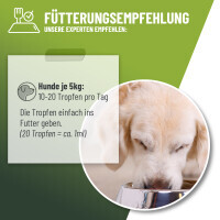 ReaVET Bronchial Liquid – Flüssiger Kräuter-
