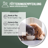 ReaVet Gelenk-Liquid 100ml – Natürliche Unterst&u