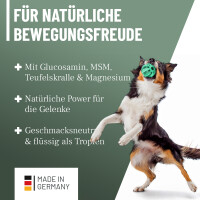 ReaVet Gelenk-Liquid 100ml – Natürliche Unterst&u