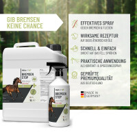 Second Bremsen Stop Spray 6L