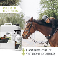 Bremsen Stop Spray 6L