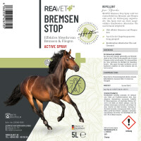 Bremsen Stop Spray 6L
