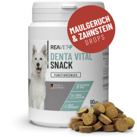 Denta Vital Snack 170g