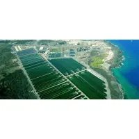 SanaAstin – Hawaiian Astaxanthin Kapseln 60 Kapseln