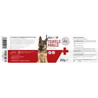 Teufelskralle | versch. Größen 3