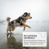 Gelenktabletten Forte | versch. Größen 4