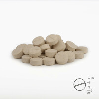 Second Gelenktabletten Forte | versch.