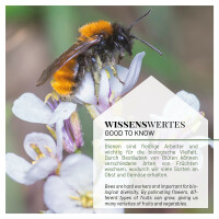 Bienenhotel mit Metalldach - Artgerechte Nisthilfe für Wildbienen