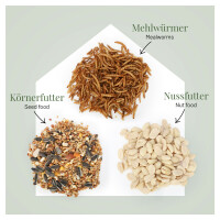 Fenster-Futterhaus Family - Robustes Acryl, Große Futterkapazität