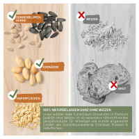 Futtertraum - Premium Streufutter 5kg für Wildvögel, Weizenfrei 3