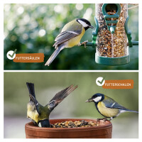 Futtertraum - Premium Streufutter 5kg für Wildvögel, Weizenfrei 6