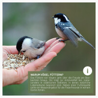 Futtertraum - Schalenloses Streufutter für Wildvögel, 5kg