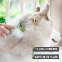 REAVET Unterwollkamm M mit Selbstreinigungsknopf für Hunde & Katzen