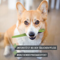 REAVET Fellkamm für schonende Entwirrung bei Hunden & Katzen