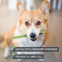 REAVET Flohkamm für Hunde & Katzen - Zuverlässige Parasitenentfernung