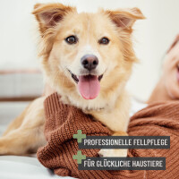 REAVET Fellstriegel für Hunde - Verfilzungen sanft entfernen