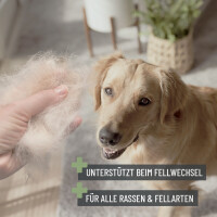 REAVET Bürste 2in1 für Hunde & Katzen - Schonende Fellpflege