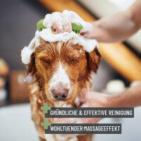 REAVET Badebürste für Hunde – Shampoo & Massage in Einem