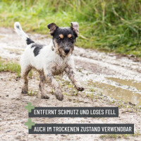 REAVET Badebürste für Hunde – Shampoo & Massage in Einem
