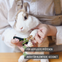 REAVET Krallenschere S für präzise Pflege kleiner Haustierpfoten